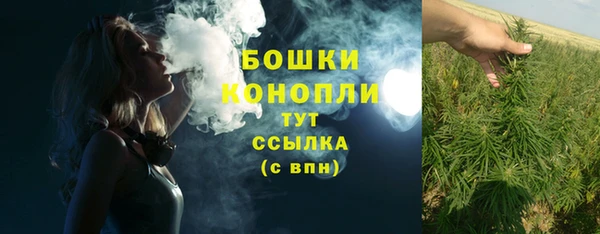 ешки Вяземский