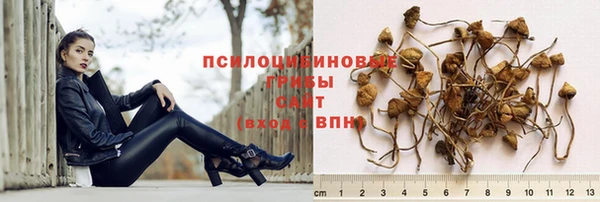 крисы Вязьма