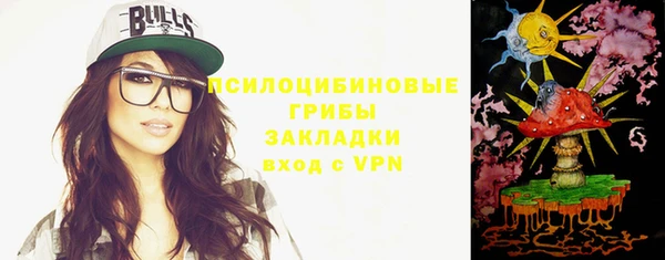 крисы Вязьма