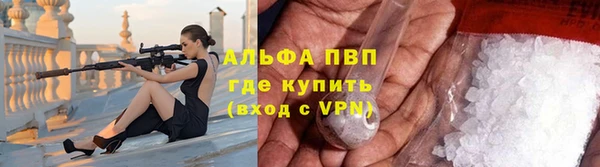крисы Вязьма
