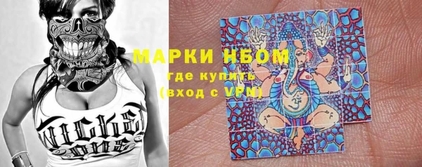 крисы Вязьма