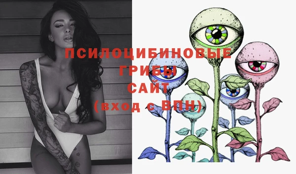 стафф Вязники