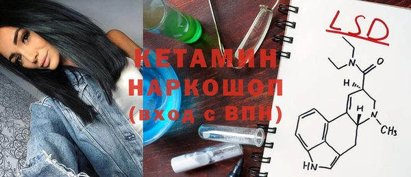 крисы Вязьма