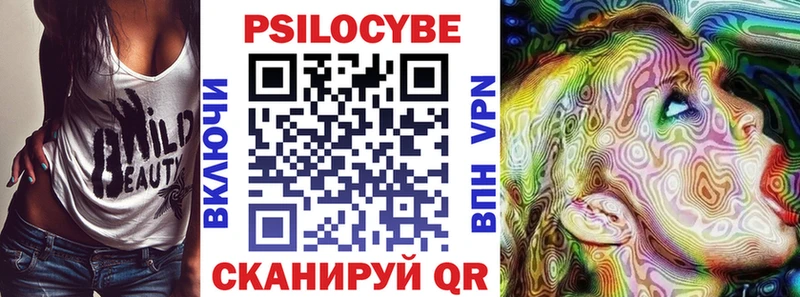 Галлюциногенные грибы Psilocybe  Купить закладки  Баксан 